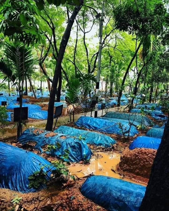 অপ্রমেয় করুণার